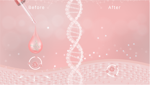 TOPICS-01「化粧品の皮膚からの吸収について」